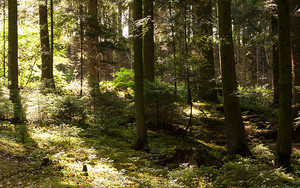 15. LEADER Aufruf im Schwäbischen Wald gestartet